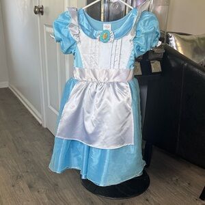 Disney Blue and White Alice in Wonderland Princess Costume Dress